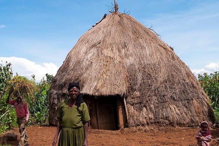 Savannah Heritage Tour: Mole National Park, Larabanga & Mognori from Accra photo 4