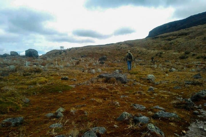 Laguna Verde Pass: High-Paramo Hike and Mountain Refuge Lunch photo 2