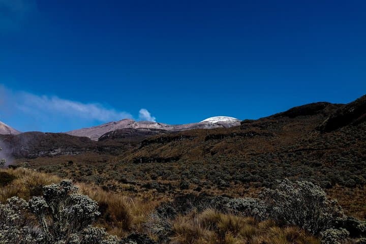 Laguna Verde Pass: High-Paramo Hike and Mountain Refuge Lunch photo 6