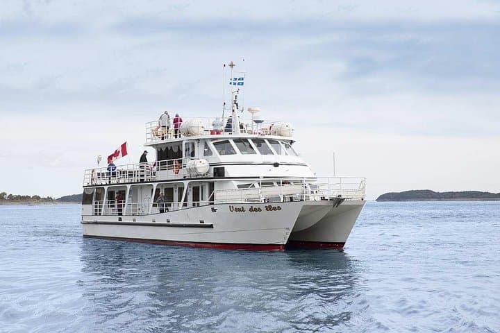 Razorbills & Seabird Cruise: Meet 1,000 'Little Penguins' from Quebec City