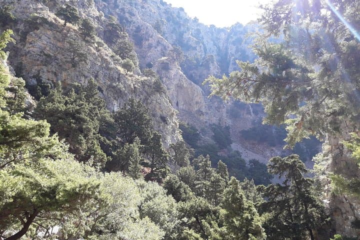 Hike Imbros Gorge: Private Gorge Walk with Beach, Wine or Olive Oil Tasting near Chania photo 4