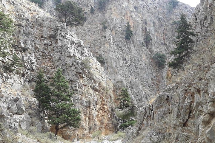 Hike Imbros Gorge: Private Gorge Walk with Beach, Wine or Olive Oil Tasting near Chania
