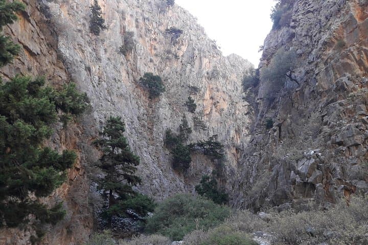 Hike Imbros Gorge: Private Gorge Walk with Beach, Wine or Olive Oil Tasting near Chania photo 3