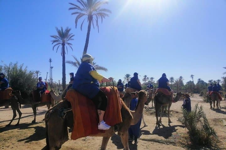 Camel Ride Through Marrakech's Palmeraie: 1-Hour Sunset Oasis Experience photo 2