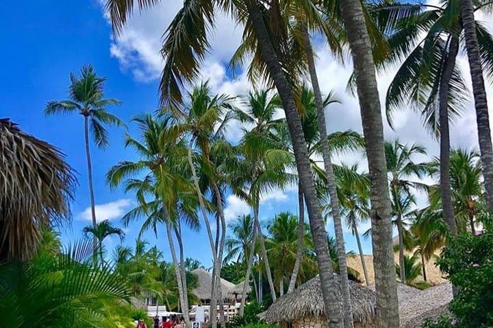 Punta Cana to La Romana Private Shuttle — Round-Trip Transfer for Groups (11–20) photo 4