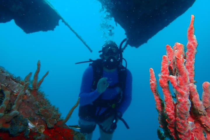 Cartagena Diving Departure: Two Reef & Wreck Dives for Certified Divers photo 4