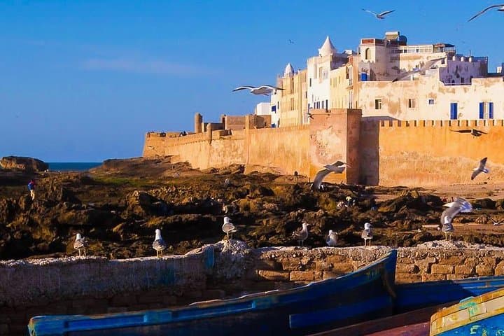 Essaouira Day Trip from Marrakech: Medina, Argan Trees & Atlantic Coast photo 3