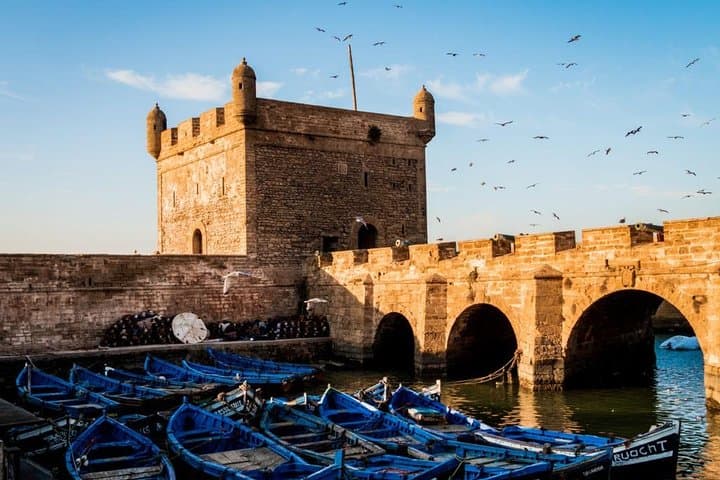 Essaouira Day Trip from Marrakech: Medina, Argan Trees & Atlantic Coast photo 2