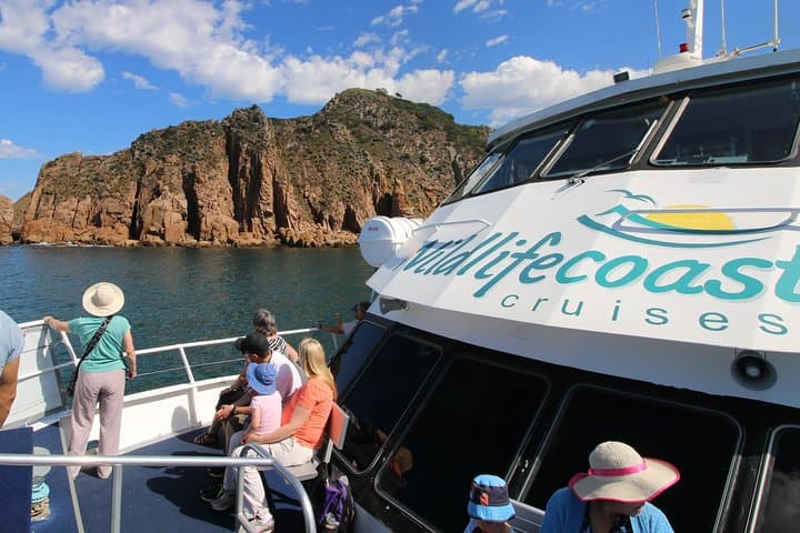 Cape Woolamai Sightseeing Cruise from San Remo: Seals, Cliffs & Seabirds photo 3