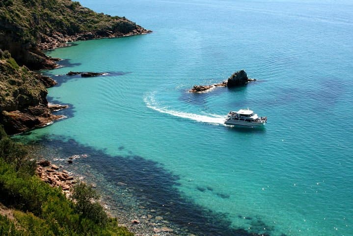 Cape Woolamai Sightseeing Cruise from San Remo: Seals, Cliffs & Seabirds photo 5