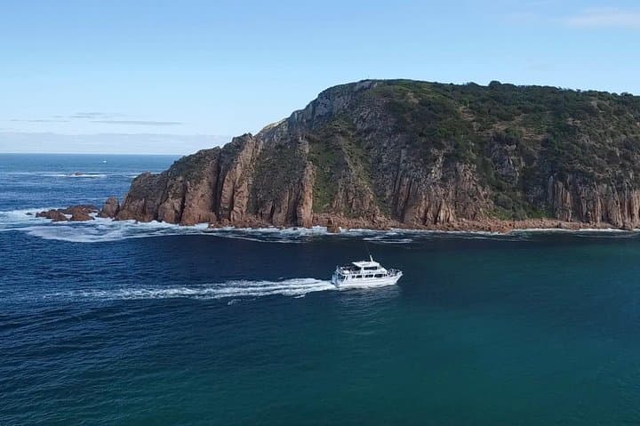 Cape Woolamai Sightseeing Cruise from San Remo: Seals, Cliffs & Seabirds