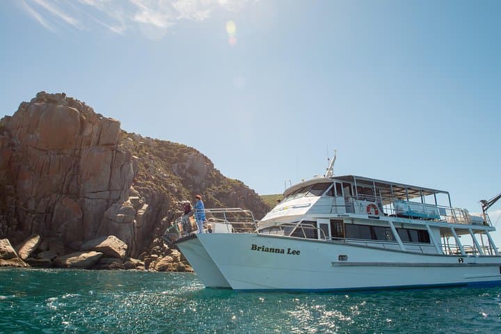 Wilsons Promontory Full-Day Cruise: Lighthouse, Skull Rock & Seal Sanctuary photo 5