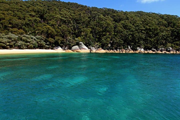 Wilsons Promontory Full-Day Cruise: Lighthouse, Skull Rock & Seal Sanctuary photo 6