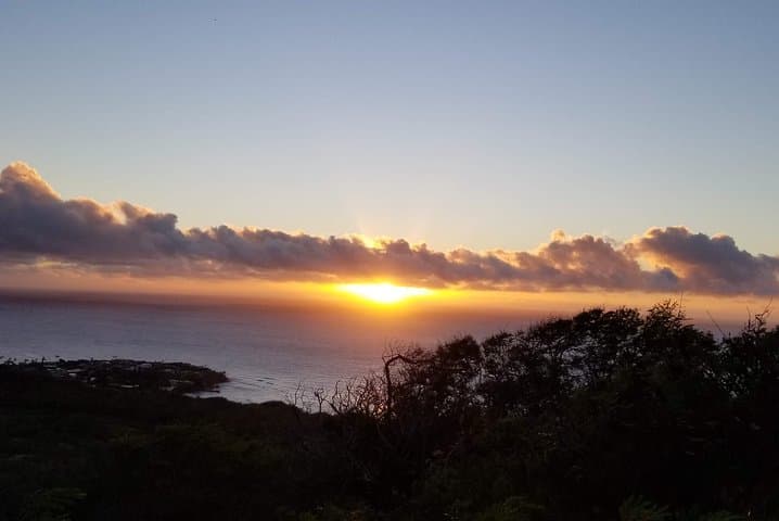 Hawaiian Beauty Package: Hike Diamond Head and Manoa Falls from Waikiki photo 6