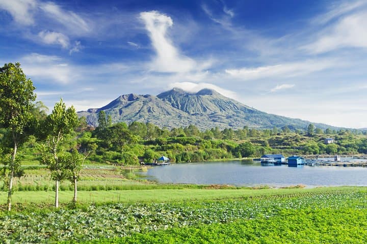 Ubud & Mount Batur Private Day Trip — Monkey Forest, Rice Terrace & Volcano Views photo 2