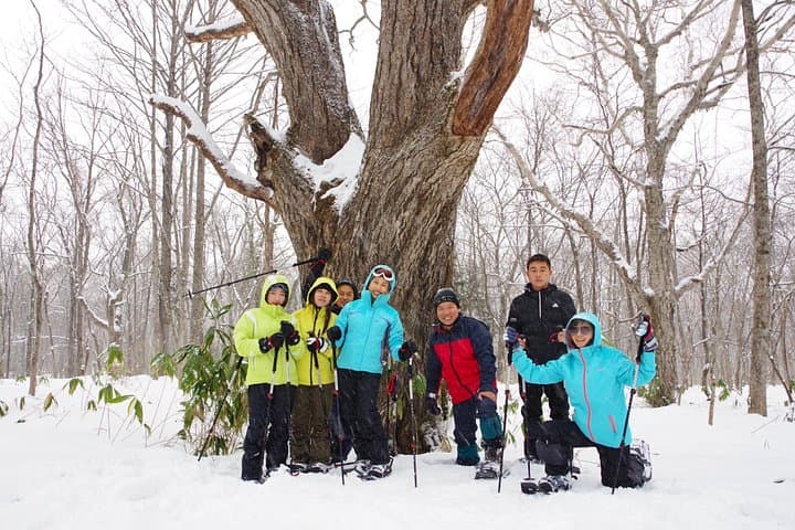 Nagano Snow Monkey Park & Togakushi Snowshoeing — Full-Day Winter Tour photo 1