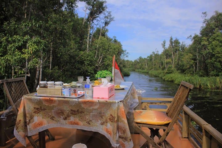 4-Day Private Orangutan & Bornean Primates Kelotok Tour from Pangkalan Bun photo 4