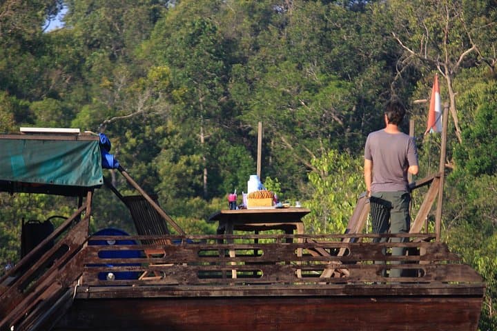 4-Day Private Orangutan & Bornean Primates Kelotok Tour from Pangkalan Bun photo 5