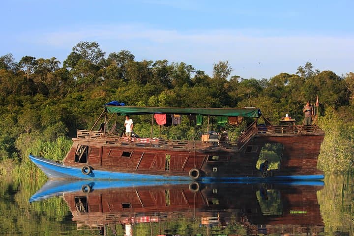 4-Day Private Orangutan & Bornean Primates Kelotok Tour from Pangkalan Bun