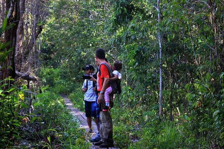 Kelotok River Cruise to Camp Leakey: 3-Day Orangutan Adventure in Tanjung Puting photo 3