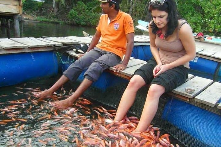 Galle Nature and Heritage Day Tour from Colombo: Forts, Mangroves & Masks photo 2