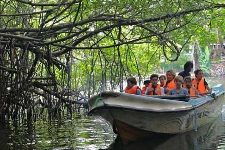 Galle Nature and Heritage Day Tour from Colombo: Forts, Mangroves & Masks photo 3