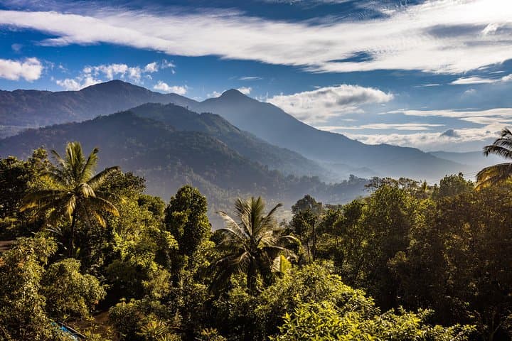 Munnar Mountain Hike and Tea-Plantation Sunset Escape photo 2