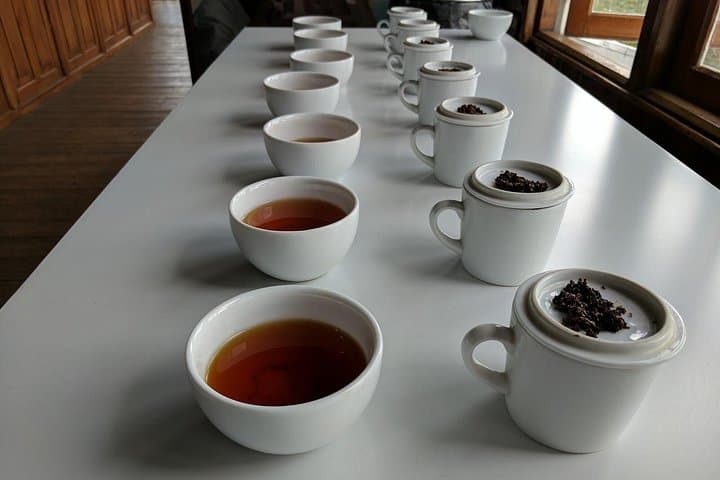 Hantana Tea Plantation Cycling Tour — Ceylon Tea Museum & Planter Village Ride photo 3