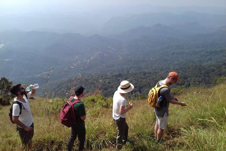 Munnar Mountain Hike and Tea-Plantation Sunset Escape photo 4
