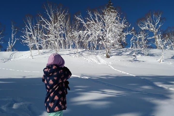 Snowshoe Hike from Sapporo to Jozankei: Guided Winter Forest Walk with Onsen photo 3