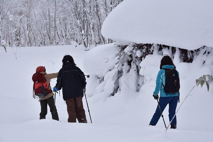Snowshoe Hike from Sapporo to Jozankei: Guided Winter Forest Walk with Onsen photo 4