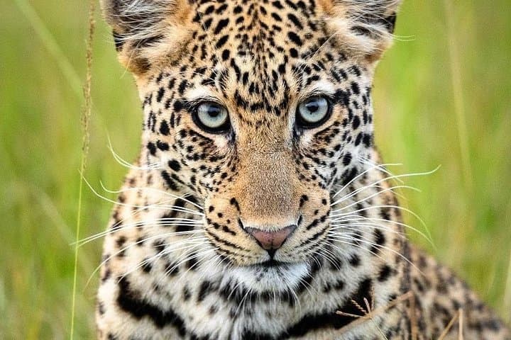Akagera National Park Full-Day Safari from Kigali — Big Five Game Drive photo 4