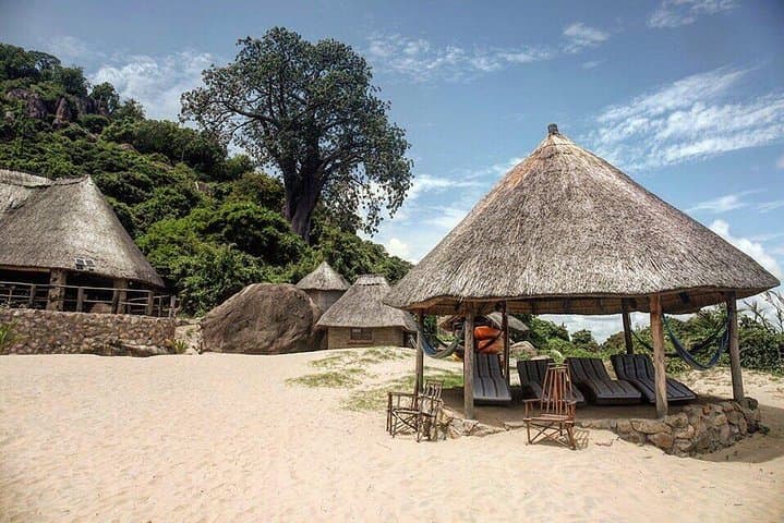 Lilongwe Cultural Tour: Old Town, Markets & Wildlife Centre