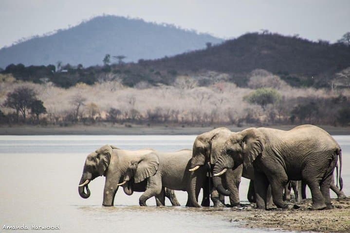 Lilongwe Cultural Tour: Old Town, Markets & Wildlife Centre photo 5