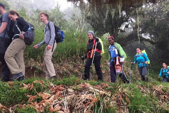 Mount Kilimanjaro 7-Day Machame Route: Summit Uhuru Peak on the 'Whiskey' Trail photo 6