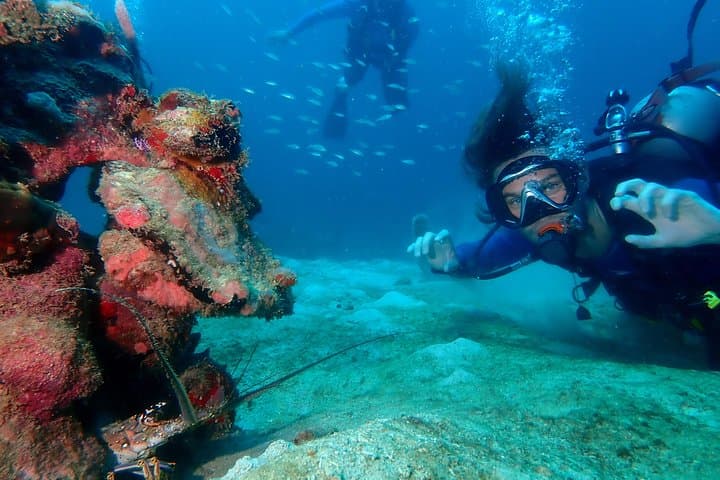 PADI Open Water Course in Cartagena — Certification and Baru Island Dives photo 2