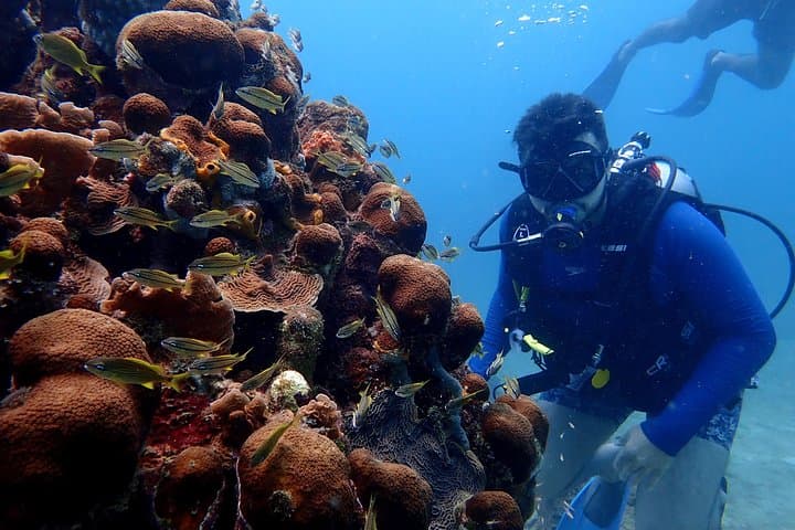 PADI Open Water Course in Cartagena — Certification and Baru Island Dives photo 3