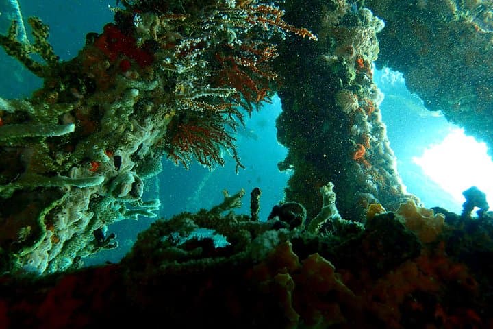PADI Open Water Course in Cartagena — Certification and Baru Island Dives photo 6