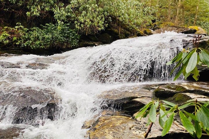 Thundering Cascades of the Smokies: Guided Waterfall Hike from Gatlinburg photo 2