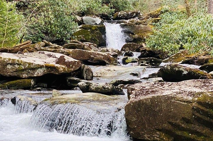 Thundering Cascades of the Smokies: Guided Waterfall Hike from Gatlinburg photo 4