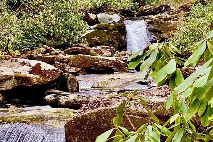 Thundering Cascades of the Smokies: Guided Waterfall Hike from Gatlinburg photo 3