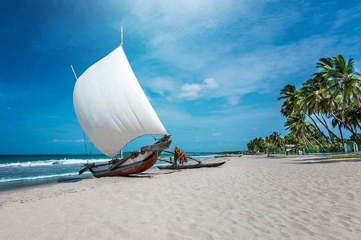 Negombo Fishing Village & Lagoon Private Day Tour from Colombo photo 1
