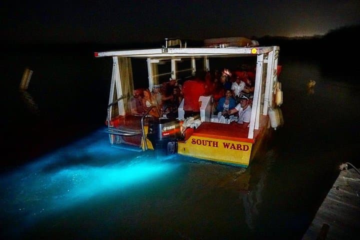 Dunn's River Falls Climb and Luminous Lagoon Night Swim — Tour from Grand Palladium photo 3