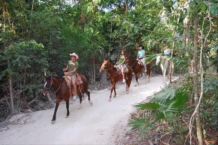 Horseback Riding at Jaco Beach: Exploring Costa Rica’s Jungle and Shoreline on Horseback