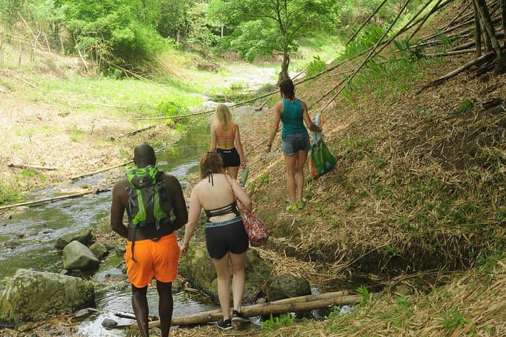 Private Full-Day Englishman's Bay Snorkeling Adventure in Tobago photo 1