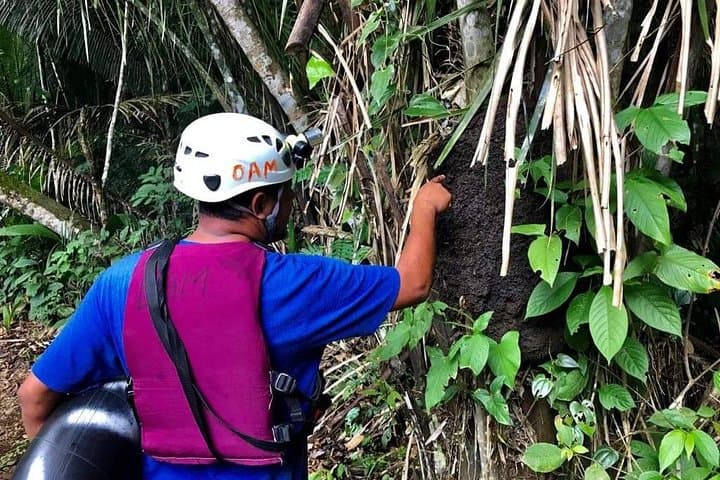 Private Cave Tubing and Zip Line Adventure in Belize — Shore Excursion from Belize City photo 2