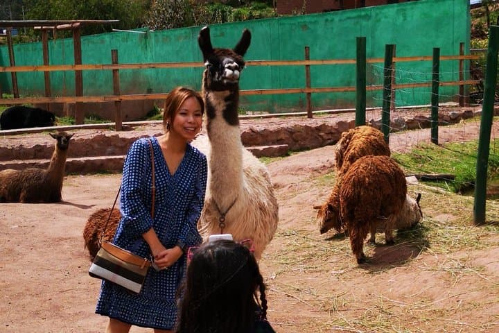 Cusco Animal Rescue Sanctuary: Visit, Volunteer, and Support Native Wildlife photo 4