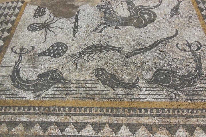 Volubilis, Moulay Idriss & Meknes: Private Day Trip from Fez photo 5