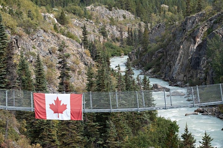 White Pass Summit & Yukon Suspension Bridge Tour from Skagway photo 3