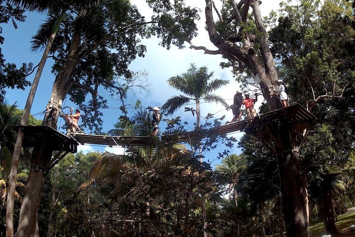 Zip Line Over Dunns River Falls — Ocho Rios Zipline & Waterfall Adventure